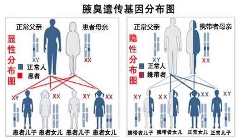 治疗狐臭哪家医院比较好？
