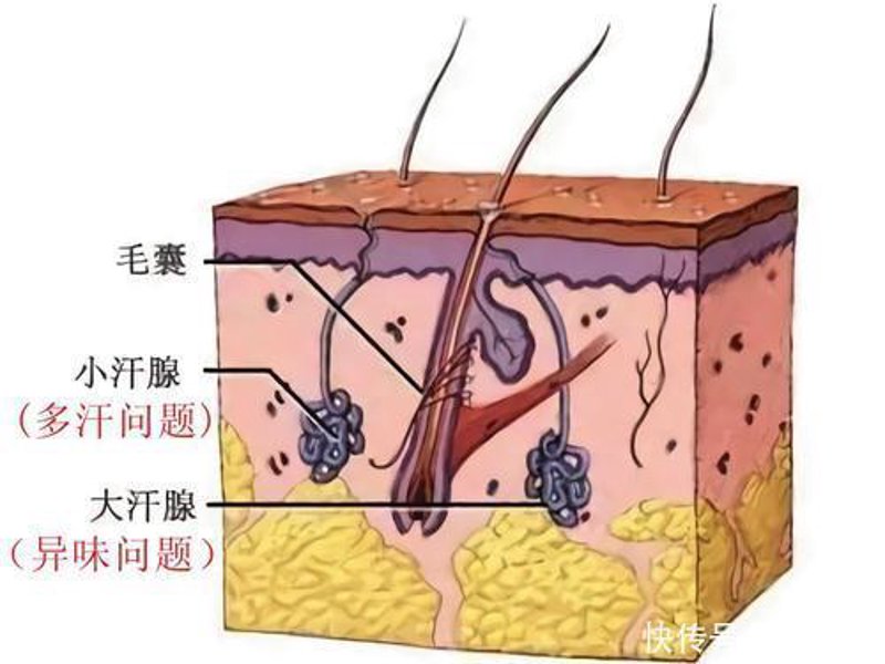昆明昆大腋臭医院：为您带来清爽无惧的夏日体验